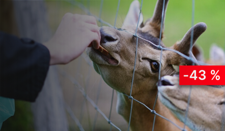 Bistrampolio dvaras su<br>SPA ir pramogomis