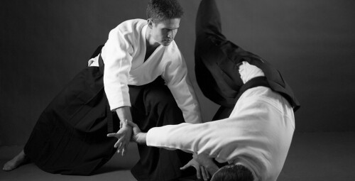 Aikido treniruočių kursas #1
