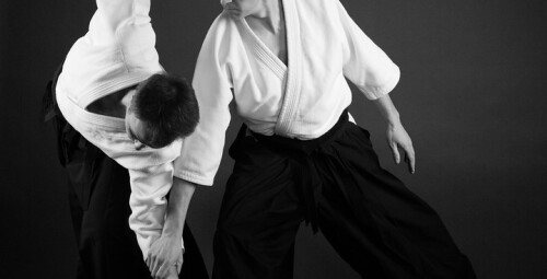 Aikido treniruočių kursas #2