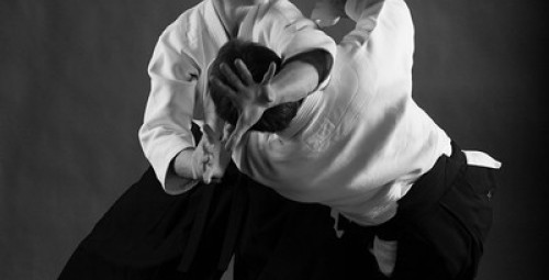 Aikido treniruočių kursas #3