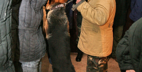 Išgyvenimo drama sovietiniame bunkeryje dviem #9