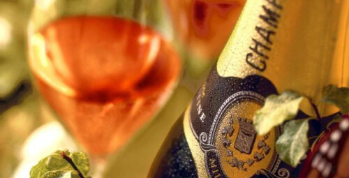 Gėrimų fontanas ir karštas šokoladas su vaisiais #2