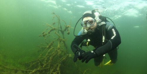 Pažintinis nėrimas ežere su povandenine fotosesija #5