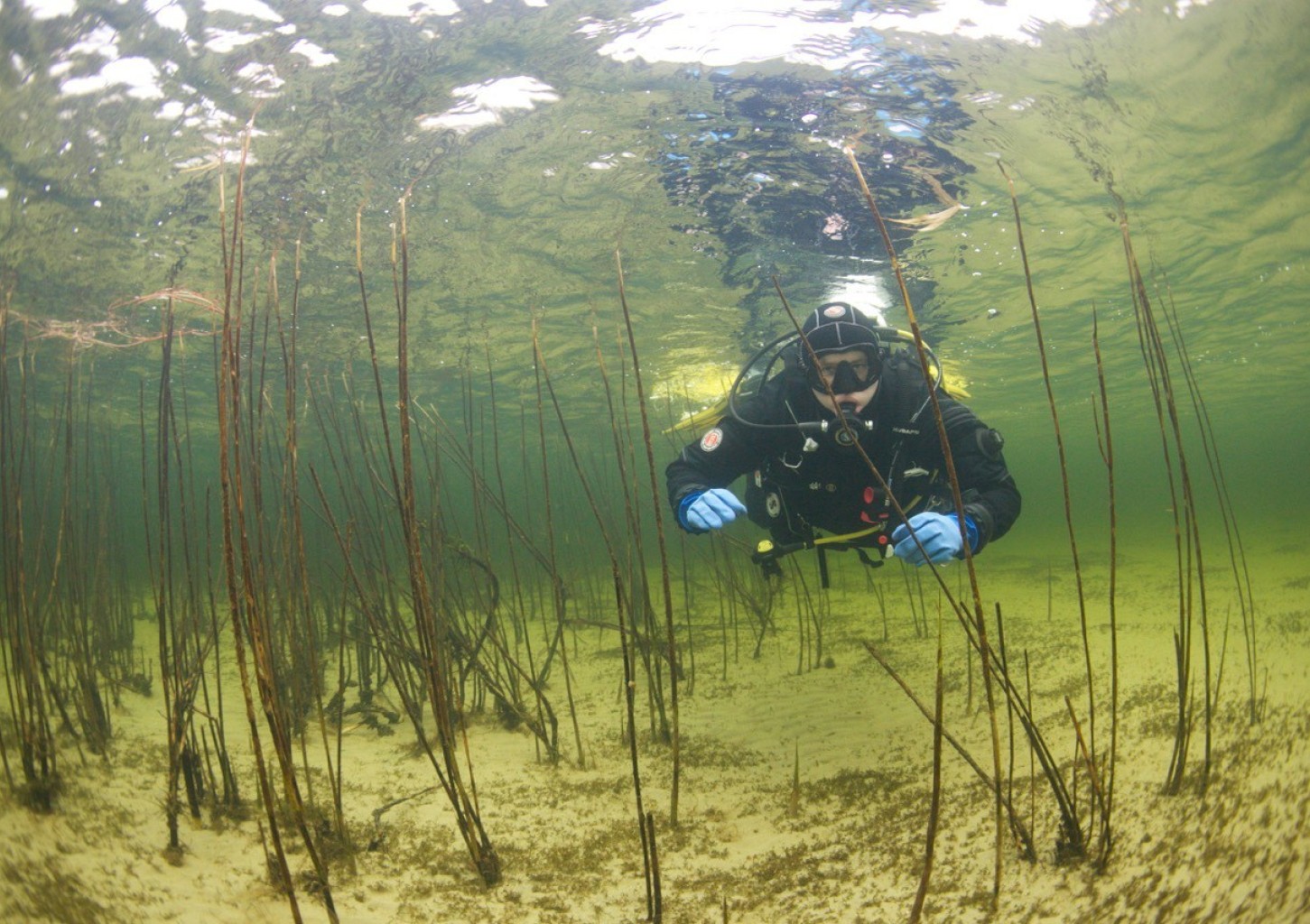 Atvirojo vandens nardymo kursai (PADI OWD)