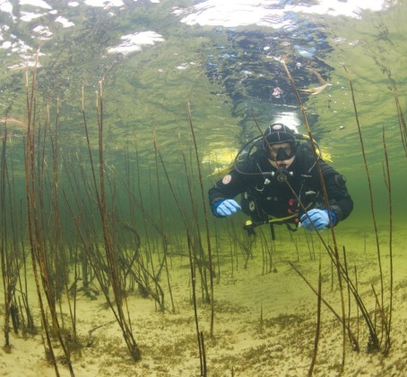 Atvirojo vandens nardymo kursai (PADI OWD)