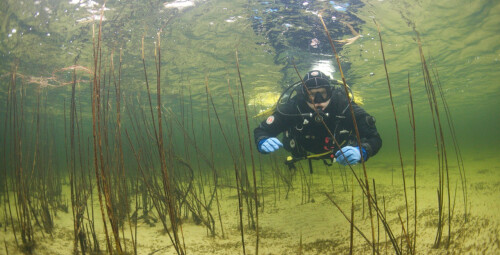 Atvirojo vandens nardymo kursai (PADI OWD) #2