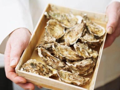 Austrių degustacija tikriems gurmanams