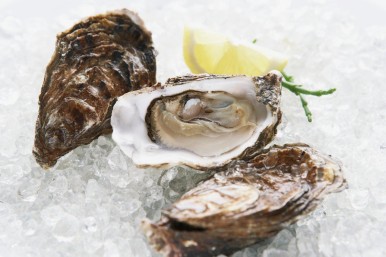 Austrių degustacija tikriems gurmanams