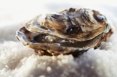 Austrių degustacija tikriems gurmanams
