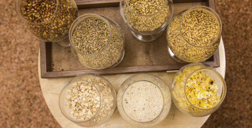 Alaus pažinimo vakaras #1