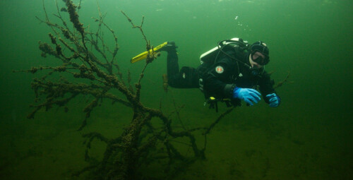 Pažintinis nėrimas ežere su povandenine fotosesija dviem #6