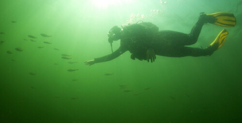 Pažintinis nėrimas ežere su povandenine fotosesija dviem #3