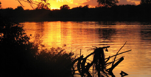 Plaukimas baidarėmis po naktinį Vilnių #2