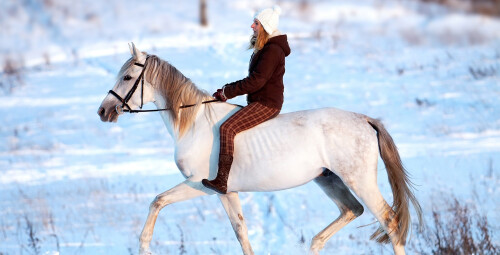 Jodinėjimas Trakų apylinkėse dviems #5