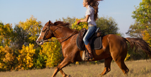 Jodinėjimas Trakų apylinkėse dviems #7