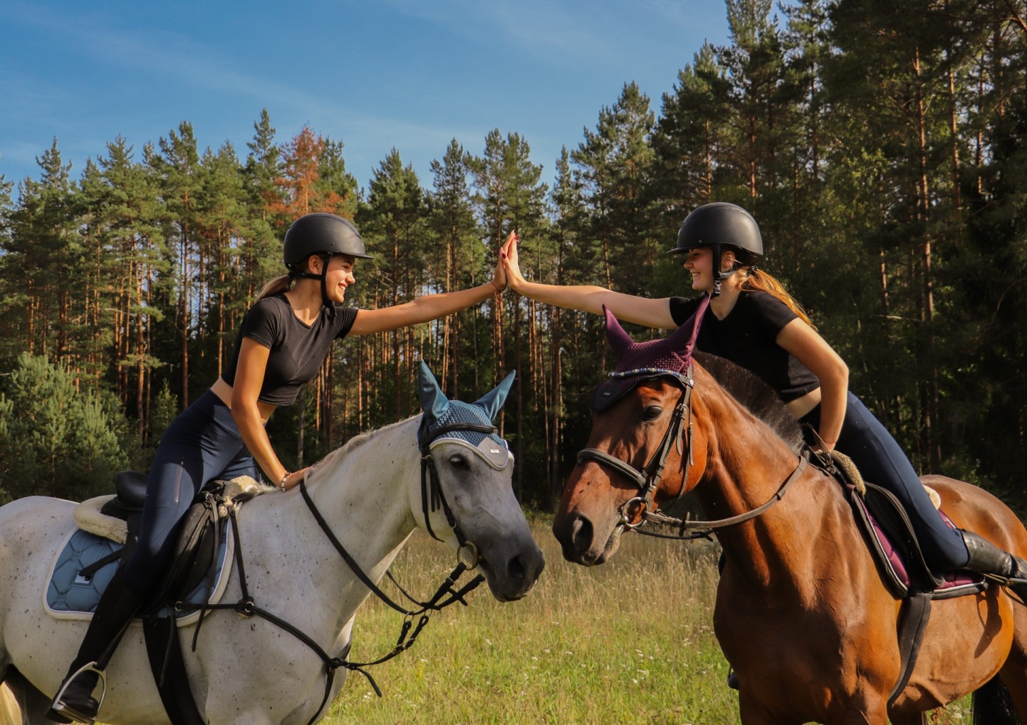 Popietė su žirgais Trakų apylinkėse DVIEM