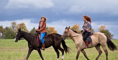 Popietė su žirgais Trakų apylinkėse #1