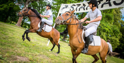 Dvariška naktis ir jodinėjimas žirgais #5