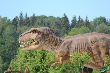 Diena su dinozaurais „Dino pramogų parke“ (3 asmenims) #1