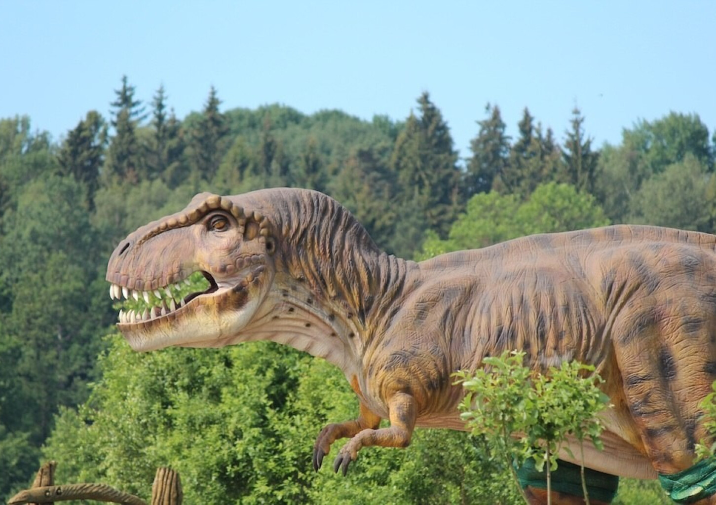 Diena su dinozaurais „Dino pramogų parke“ (3 asmenims)