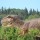 Diena su dinozaurais „Dino pramogų parke“ (3 asmenims)
