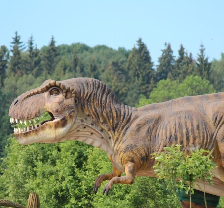 Diena su dinozaurais „Dino pramogų parke“ (3 asmenims)