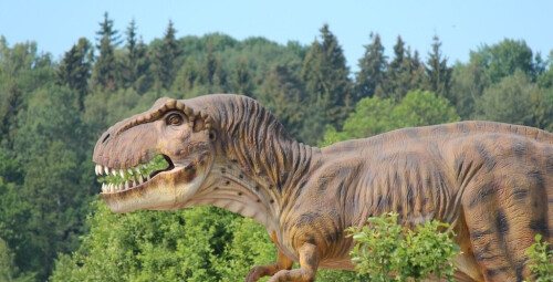 Diena su dinozaurais „Dino pramogų parke“ (3 asmenims) #1