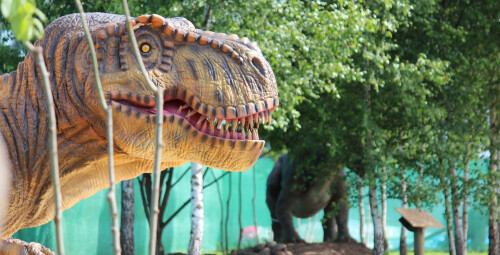 Diena su dinozaurais „Dino pramogų parke“ (3 asmenims) #2