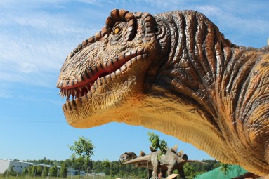 Diena su dinozaurais „Dino pramogų parke“ (3 asmenims) #3