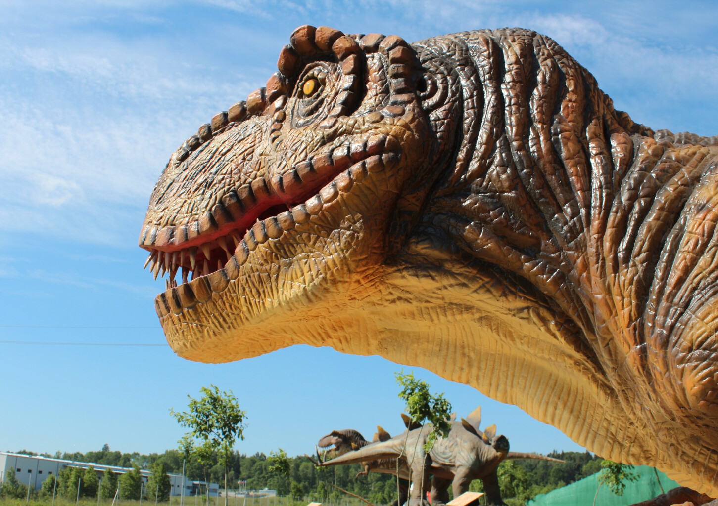 Diena su dinozaurais „Dino pramogų parke“ (4 asmenims)