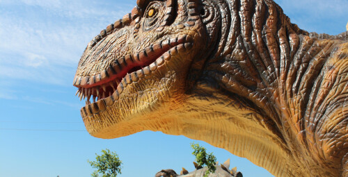 Diena su dinozaurais „Dino pramogų parke“ (4 asmenims) #1