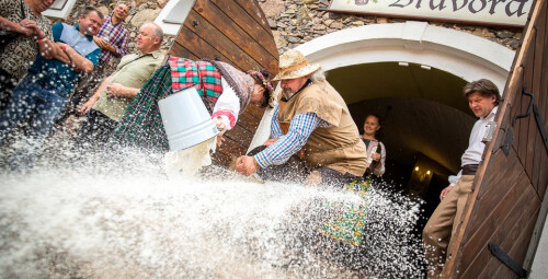 Savaitgalio poilsis ir dvariškos pramogos Pakruojo dvare #4