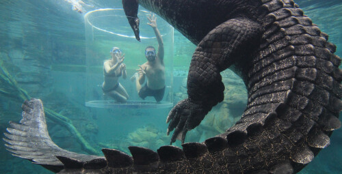 Tinggly.com dovanų čekis Visas pasaulis #8