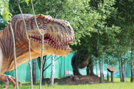 Diena su dinozaurais „Dino pramogų parke“ (2 asmenims)