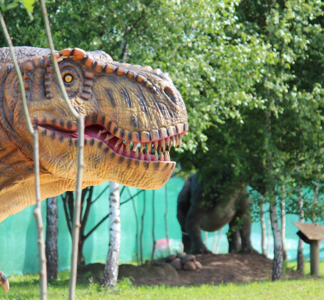 Diena su dinozaurais „Dino pramogų parke“ (2 asmenims)