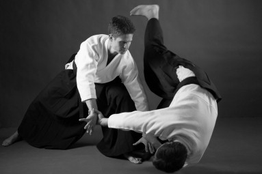 Pažintinis aikido treniruočių kursas #2