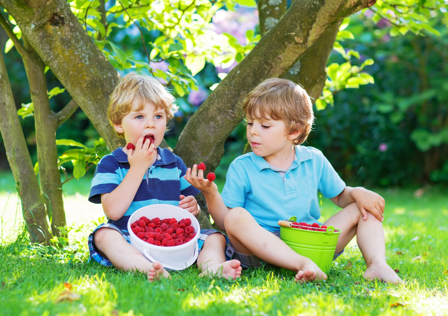 Laisvalaikis avietyne šeimai