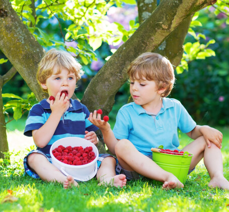 Laisvalaikis avietyne šeimai