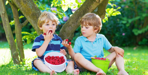 Laisvalaikis avietyne šeimai Vilnius, Keipūnai #1