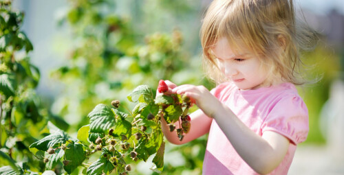 Laisvalaikis avietyne šeimai Vilnius, Keipūnai #3