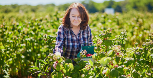 Laisvalaikis avietyne dviem Vilnius, Keipūnai #1