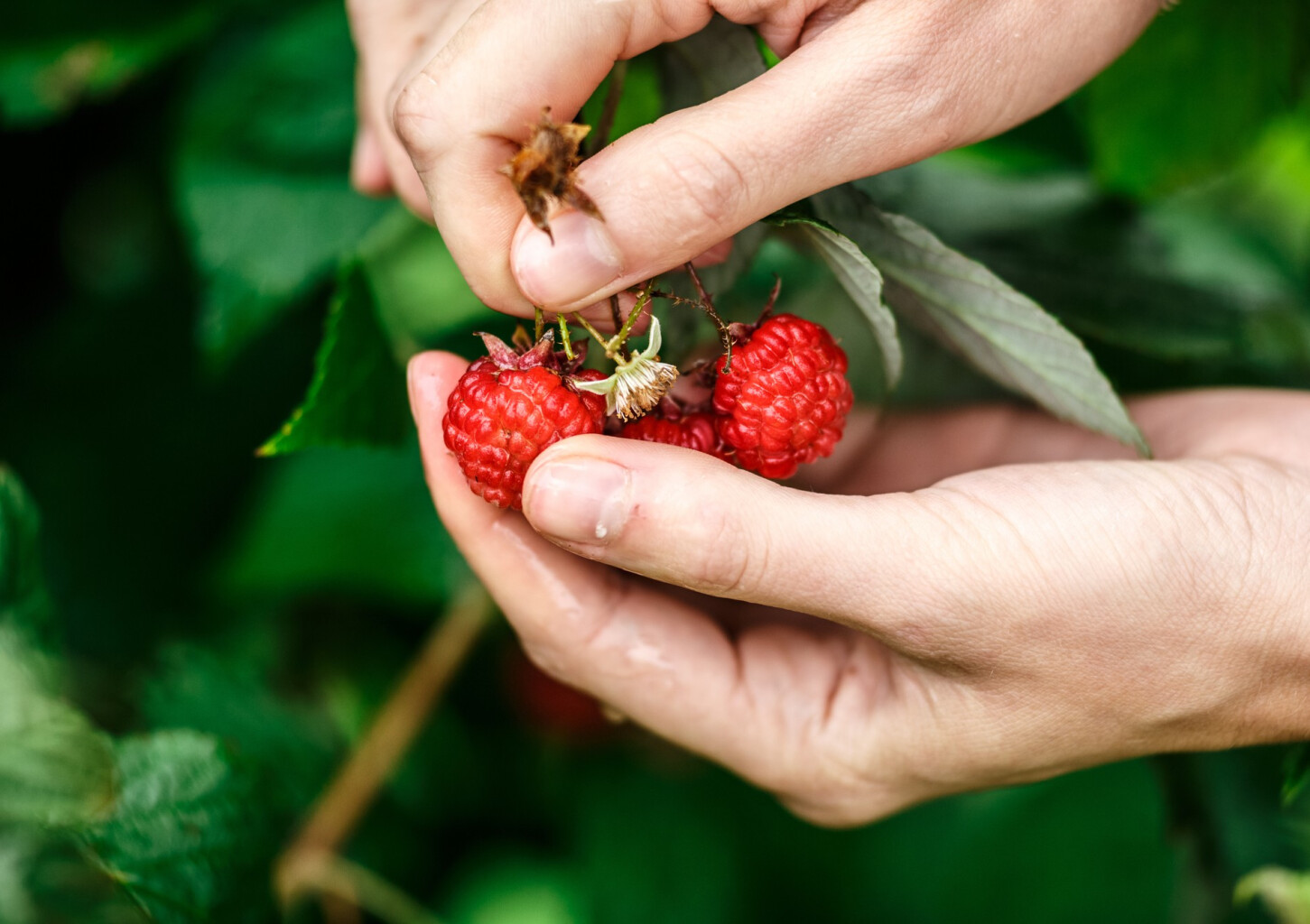Laisvalaikis avietyne Jūsų kompanijai
