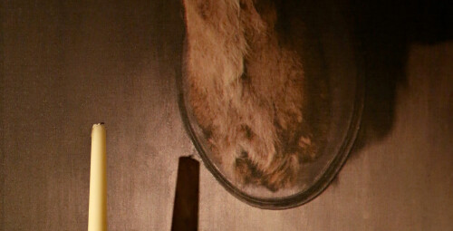 Galvosūkių kambarys „Apleista miško trobelė“ #3