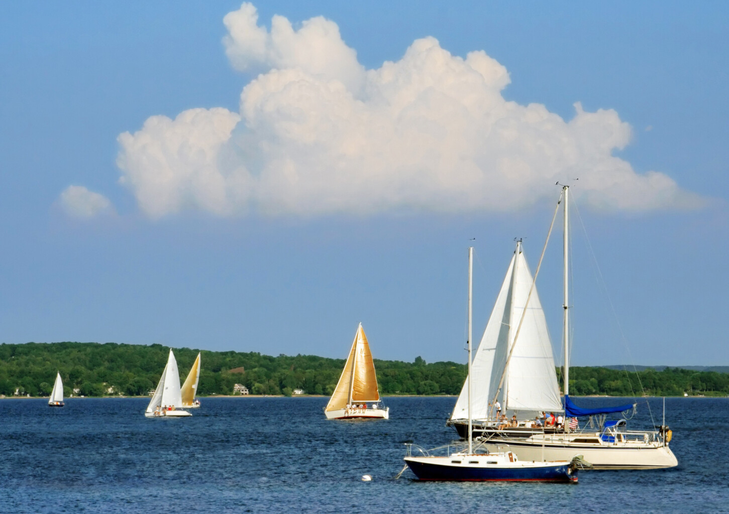 Pažintis su jachtos buriavimu Kaune
