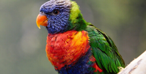 Apsilankymas pirmajame zoologijos sode Vilniuje „Zoopark“ dviem #5