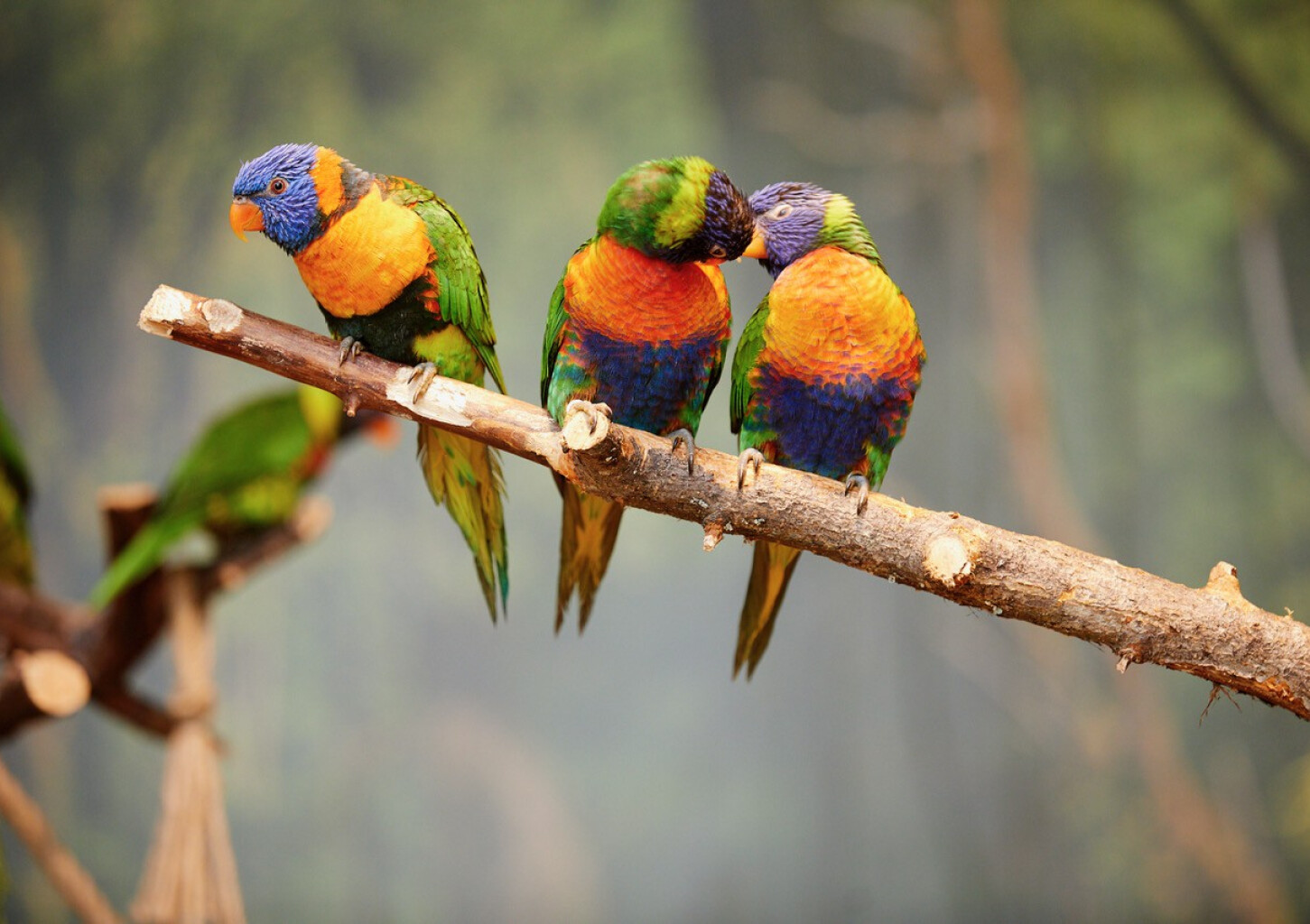 Apsilankymas zoologijos sode „Zoopark“ Vilniuje DVIEM