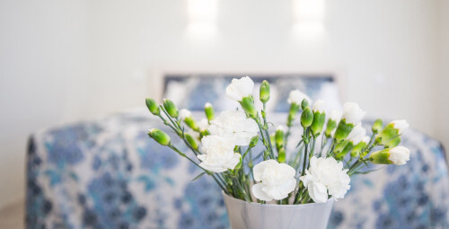 TULPĖS SANATORIJOS dovanų čekis #4