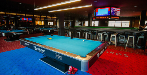 Pulo žaidimas ir profesionalo pamoka kompanijai „ARENA Billiards“ #1
