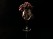 Sūrių ir gėrimų degustacija „Taste in the Dark“ dviem Kaune