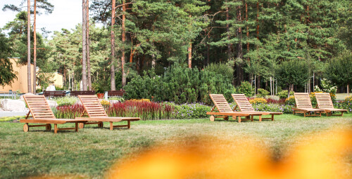 Poilsis ir procedūros „Eglės sanatorijoje“ Druskininkuose #4